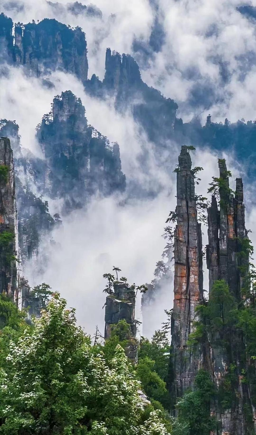 Zhangjiajie Jijiehao Inn Bagian luar foto