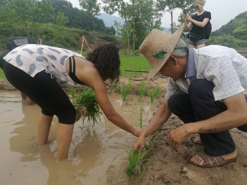 Zhangjiajie Jijiehao Inn Bagian luar foto