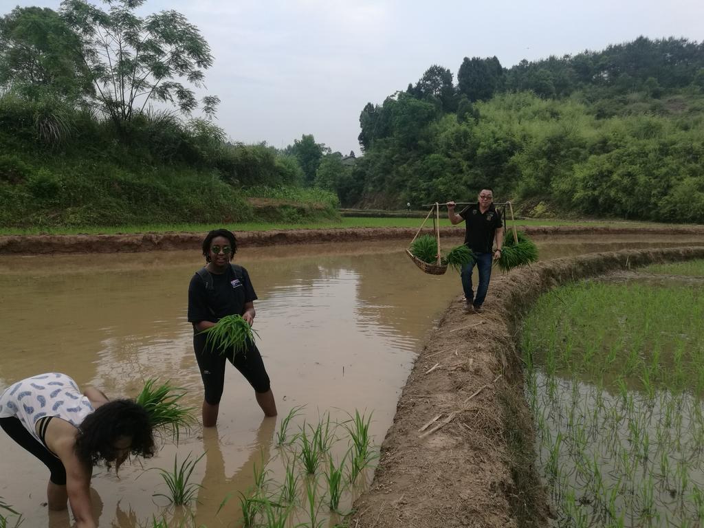 Zhangjiajie Jijiehao Inn Bagian luar foto